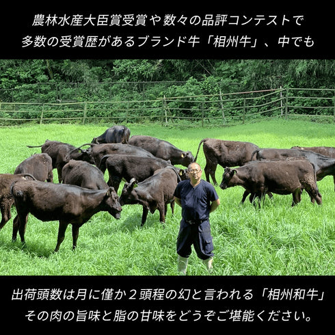 【全ての送料無料】相州和牛カタログギフト(2種類)